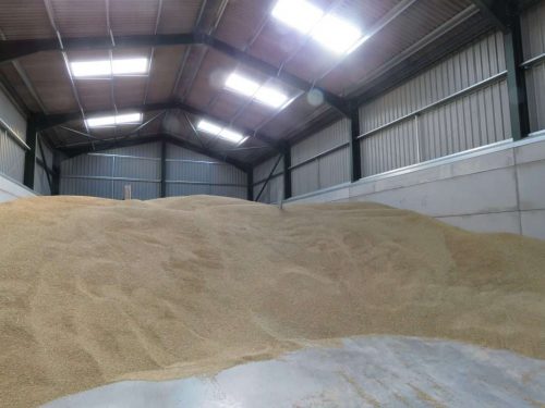 IMG_7556-1067x800 D-98 Premium Basmati with Deep Aroma